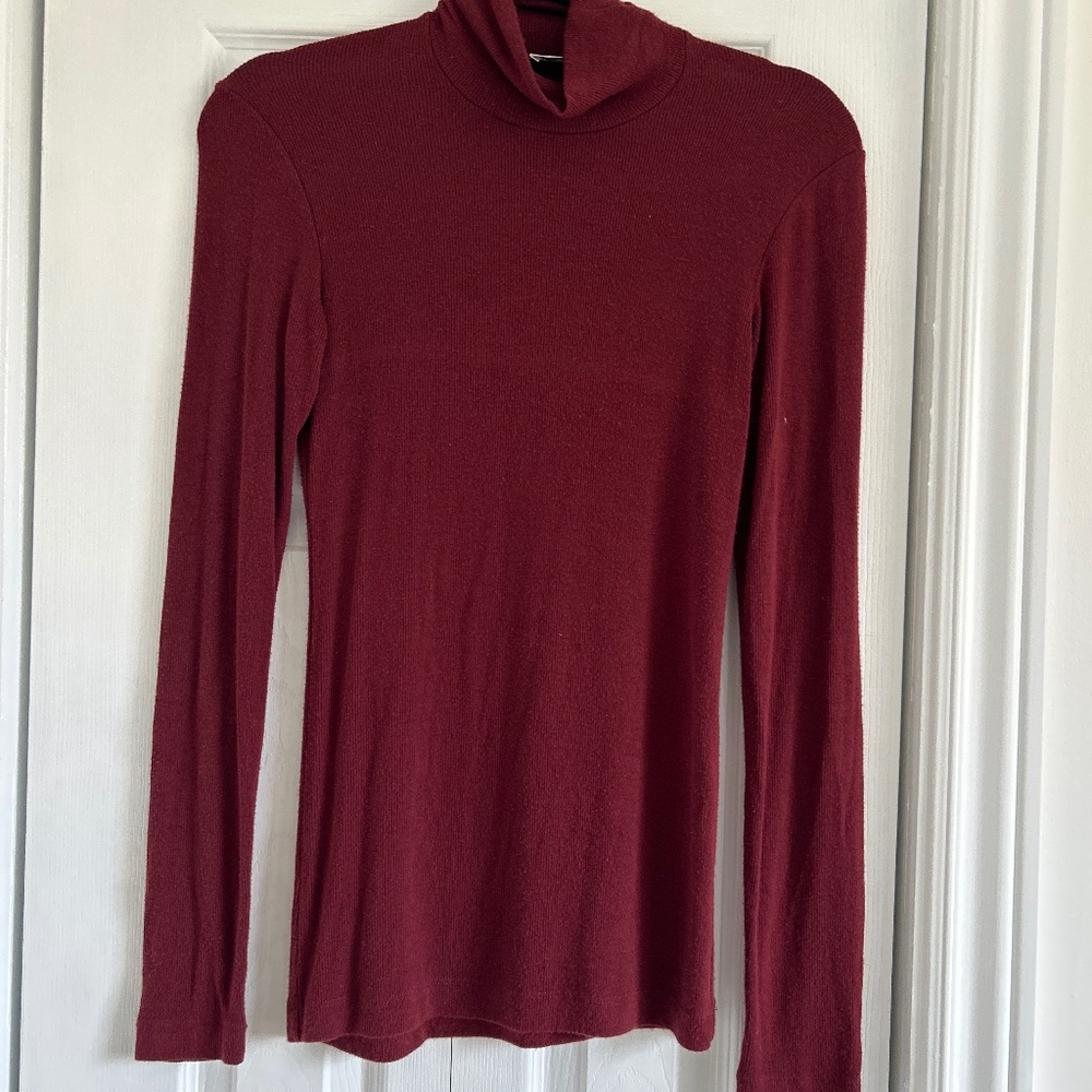 Aritzia Wilfred turtleneck